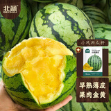 北蔬小凤西瓜种子苗礼品型黄肉超甜水果种籽 小凤西瓜种子10粒*2袋