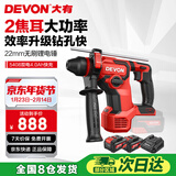 大有（Devon）20V锂电无刷充电锤冲击混凝土打瓷砖轻锤钻两功能5408双电4.0快充