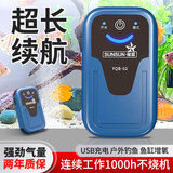 森森（SUNSUN）鱼缸增氧泵水族箱氧气泵家用小型充氧泵 【升级断电自启】2W双孔交直流+气石套餐