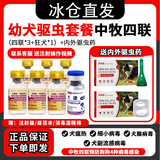 中牧股份CAHIC【冰仓当日发】中牧四联狗狗疫苗幼犬狂犬疫苗套餐狗细小瘟热疫苗 【送内外驱虫】幼犬套餐(3针四联+狂犬) 7支*1袋