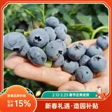 虹越（HONGYUE）蓝莓果苗盆栽苗 南方北方庭院阳台种植果树苗HN 【果量大】”蓝葡萄“1加仑