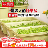 爱丽思（IRIS）种菜盆蔬菜种植箱塑料菜盆特大号阳台种菜神器户外花箱种花菜盆 热款 大(70cm长）茶色 送隔网