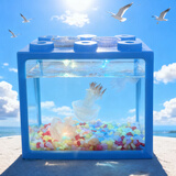家养水母活体海月赤月水母无毒好养儿童礼物真水母水母活物家养 升级款【蓝色缸】包活到家 水母2只+2个彩灯 +海盐+食物+喂食器