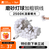 牧高笛（MOBIGARDEN）串灯 户外露营加长铜线串灯生日聚会庭院LED氛围灯 USB款-磨砂灯球