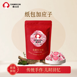 春江月纸包陈皮梅500g正宗话梅肉干广东老式蜜饯果干凉话果梅休闲零食 纸包嘉应子【500g*1袋】约36颗左右