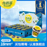 怡颗莓【送礼优选】云南花香蓝莓 当季新鲜蓝莓  高端水果年货礼盒送礼 【杯装礼盒】Jumbo超大55g*12杯（18mm+）