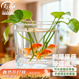 寿禾 透明水培玻璃瓶花盆种球方形加厚种植杯  10*10cm方形水培玻璃瓶