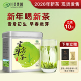 龙芽大师宜宾早茶2026年新茶雀舌绿茶茶叶特级早春芽茶头春茶川茶集团50g 宜宾早茶 50g*1罐