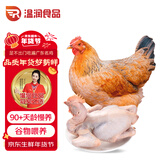 温润食品黄羽三黄鸡2斤 慢养90天以上农家生态散养鸡肉生鲜笨鸡走地鸡