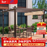 紫叶庭院葡萄架秋千户外凉亭休闲防腐木亭子花园室外别墅铁艺遮阳棚 3*3米 丹尼葡萄架,不含桌椅