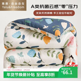 雅鹿·自由自在 A类抗菌纤维被子被芯单人秋冬天季被褥棉被冬天150x200cm5斤繁花