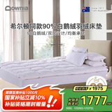 Downia床褥 希尔顿酒店同款90%白鹅绒羽绒床褥垫子 榻榻米垫子 1.8米床