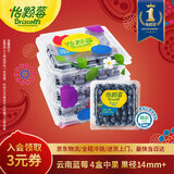 怡颗莓Driscoll's云南蓝莓14mm+ 4盒装 约125g/盒 新鲜年货水果