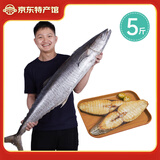 海蓝厨房 冰鲜马鲛鱼2-5斤 整条切片 海南深海冷冻马鲛鱼中段 马鲛鱼中段5斤