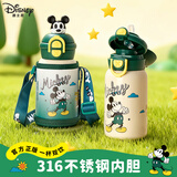 迪士尼（Disney）儿童保温杯316不锈钢双饮杯吸管水杯小学生上学专用水壶生日礼物