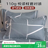 艾薇 枕头套磨毛枕套一对儿童枕套卡通学生单人枕套 格调时代 48*74cm
