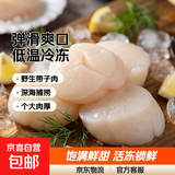 新鲜速冻扇贝柱水产瑶柱鲜活野生带子肉海鲜冷冻整箱批发江瑶贝柱 【90%回头客】加量装 500g(净重)