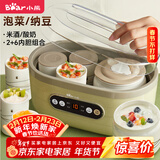 小熊（Bear）酸奶机 家用全自动大容量分杯米酒机酸奶发酵菌纳豆泡菜机SNJ-C10P2（浅绿）