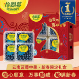 怡颗莓【送礼优选】云南花香蓝莓 当季新鲜蓝莓  高端水果年货礼盒送礼 【新春礼盒】中果125g*4盒（14mm+）