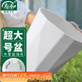 寿禾 花盆带托盘塑料树脂盆家庭园艺绿植花卉种植 木里盆超大号-浅灰