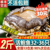 首鲜道包活 福建连江鲜活鲍鱼活鲜 生鲜 贝类超大2斤 海鲜其他水产鲜嫩 精品活鲍32-36只 2斤(保活净重)