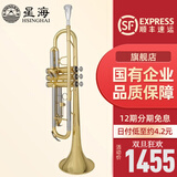 星海（XINGHAI INSTRUMENT）降b调小号乐器 XT-100/120学生考级儿童初学入门款学校乐队通用 升级XT-120型-白铜变音管