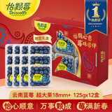 怡颗莓【送礼优选】云南花香蓝莓 当季新鲜蓝莓  高端水果年货礼盒送礼 【新春礼盒】Jumbo超大125g*12盒（18mm+）