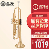 星海（XINGHAI INSTRUMENT）降b调小号乐器 XT-100/120学生考级儿童初学入门款学校乐队通用 入门款YH-521型