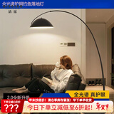 清瑶客厅沙发旁落地灯现代简约北欧全光谱卧室钓鱼灯极简设计感立式灯 护眼款中号190CM三色-大理石底座