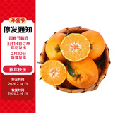 趣尝鲜 四川春见耙耙柑 净重5斤 单枚220g 新鲜柑橘 源头直发 一件包邮