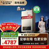 史密斯（A.O.SMITH）16升精钢燃气热水器  1级静音 恒温大水量 抗风防冻 JSQ31-TEW 更安全更安静 以旧换新