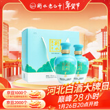 衡水老白干手酿礼盒 老白干香型白酒 42度500ml*2瓶礼盒装 纯粮礼盒春节送礼
