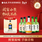  【高性价比套餐】青梅酒风味组合330ml*5瓶时光梅酒原果浸泡
