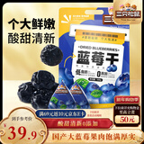 三只松鼠每日蓝莓干500g 蜜饯果干酸甜休闲零食下午茶孕妇儿童健康零食