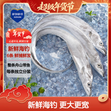 鲜到鲜得【冰鲜钓带】舟山带鱼整条3.5斤(5-7两/条)共6条海鲜年货源头直发