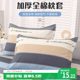 艾薇 A类全棉枕头套学生单人枕芯套纯棉枕套一个 罗马时代 48*74cm