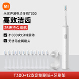 小米电动牙刷成人T300米家声波全自动情人节男女款情侣通用充电式软毛实用结婚生日新年礼物送女友礼盒 T300-白-12支定制刷头+牙刷架
