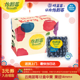 怡颗莓Driscoll's云南蓝莓14mm+ 12盒装 约125g/盒 水果年货礼盒