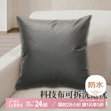 艾薇抱枕沙发靠垫床头靠枕睡觉靠背垫科技布抱枕套含抱枕芯磨砂黑