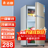 志高（CHIGO）小冰箱迷你小型家用冷藏冷冻两用宿舍出租房用双门办公室电冰箱节能省电 【一级能效】48L金色【三天约一度电】