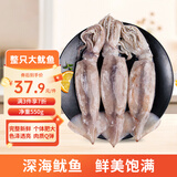 美加佳鲜冻整只大鱿鱼（2-3只） 净重550g 整条鱿鱼 深海捕捞聚餐