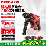 大有20V无刷充电锂电电锤5401冲击钻电镐两用混凝土开凿双电5.0闪充