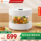 小米米家电饭煲4-5人电饭锅4L大容量内胆可视多功能蒸煮炖煲家用智能电压力锅电炖锅 MFB04CM