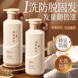 韩方五谷防脱固发生姜洗发水第1何首乌侧柏叶育控油去屑洗头膏露男女士