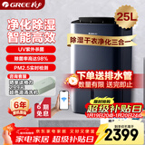 格力（GREE）【除湿净化一体机】除湿机抽湿机家用25升/天空气净化UV除菌除潮防霉强力吸湿干衣机DH25EPA1B