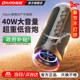 雷登（OHAYO） X8pro音响蓝牙音箱40W高音质户外大功率低音炮家用桌面有源防水迷你便携式2025最新款骑行音响 X8pro标配【当/次日达】 官方标配