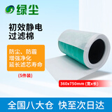 绿尘静电棉滤棉过滤网过滤棉除霾除pm2.5颗粒物防尘网初效静电过滤棉（5片装）2号