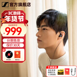 森海塞尔（Sennheiser）IE900/IE600/IE300旗舰级HIFI高保真超宽单动圈单元可拆卸MMCX挂耳式耳机 高保真发烧有线耳机耳塞 IE200 【热款HIFI高保真】