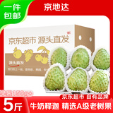 京地达云南释迦果新鲜番荔枝净重5斤单果150g+大目佛头果 源头直发包邮