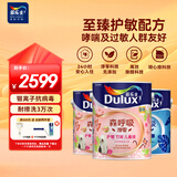 多乐士（Dulux）森呼吸淳零护敏竹炭全效防霉抗菌儿童漆乳胶漆A8207白色套装15L